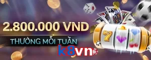 k8vn