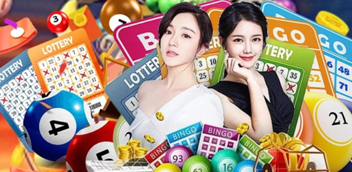 k8vn