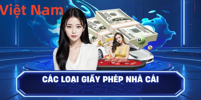 k8vn