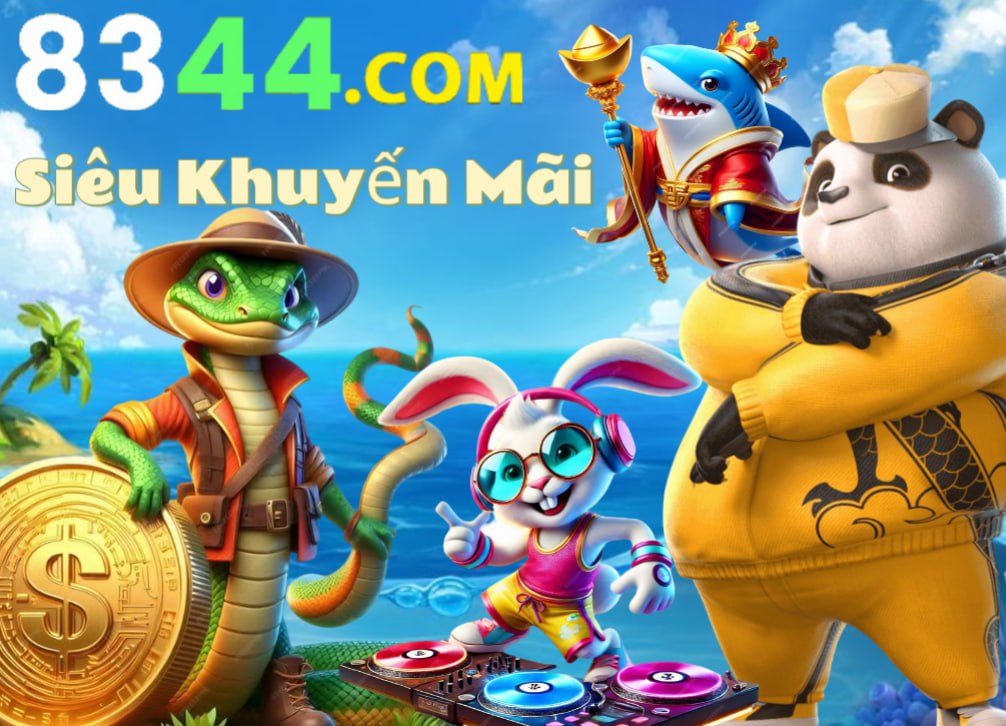 k8vn