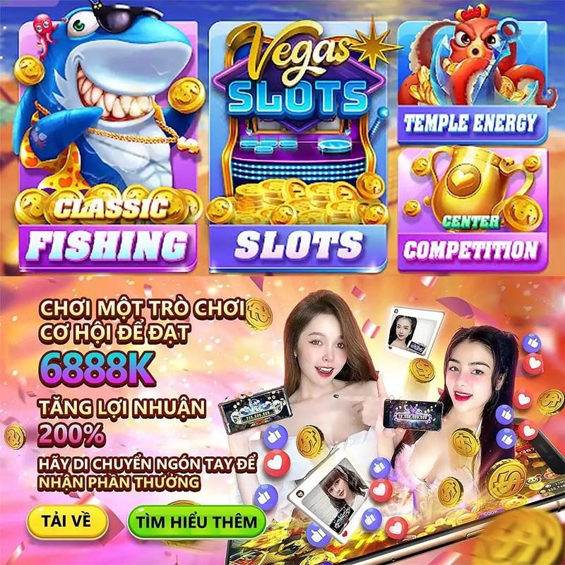 k8vn